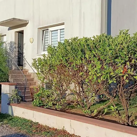Strasbourg 3 Pieces Avec Jardin Apartment Brumath Exterior photo