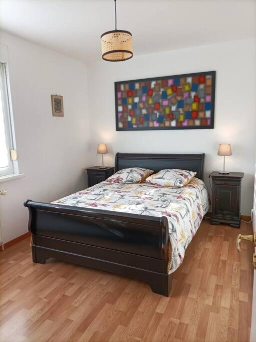 Apartment Strasbourg 3 Pieces Avec Jardin