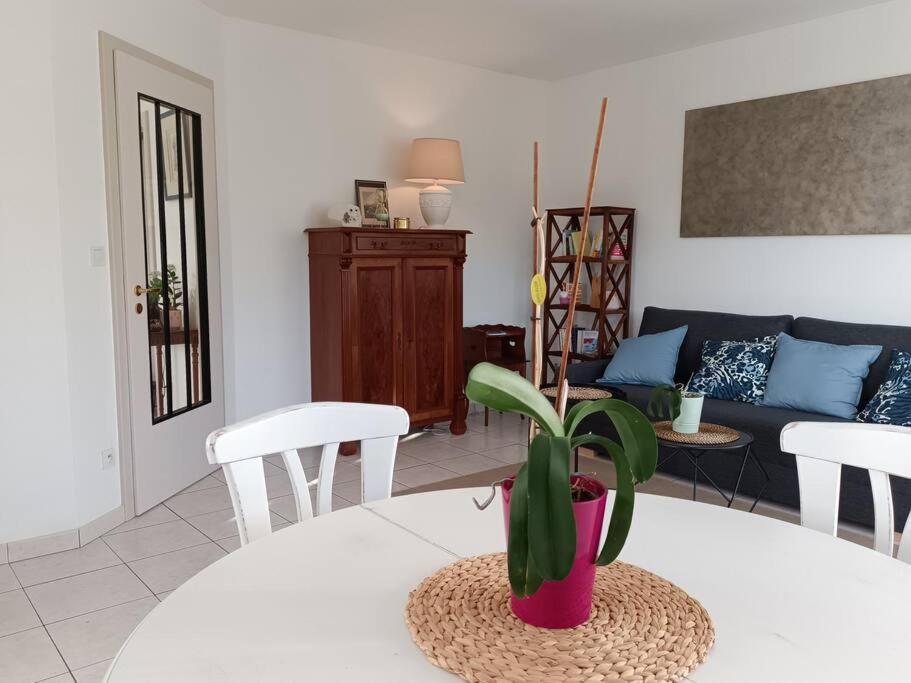 Apartment Strasbourg 3 Pieces Avec Jardin *