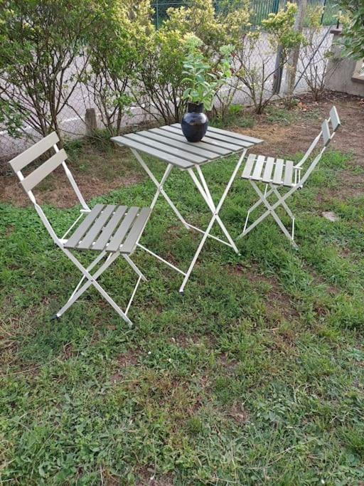 Apartment Strasbourg 3 Pieces Avec Jardin *