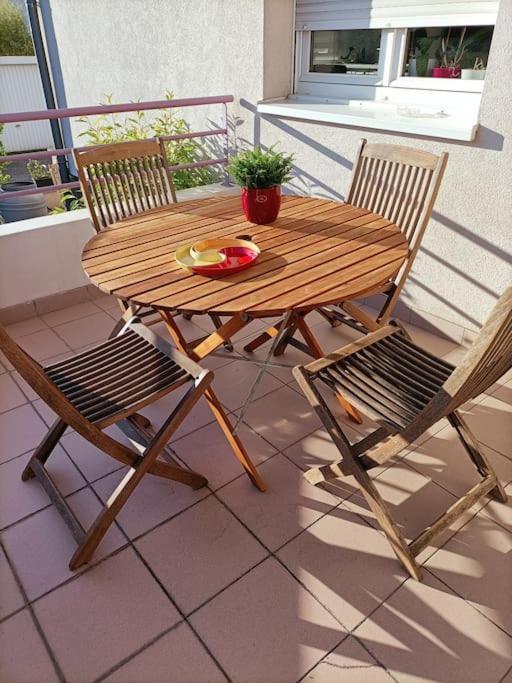 Strasbourg 3 Pieces Avec Jardin Apartment
